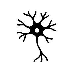 Det misforstået nervesystem